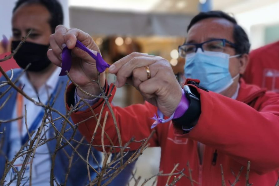 Campaña #NoEstasSola marca conmemoración del Día Internacional de la No Violencia contra la Mujer