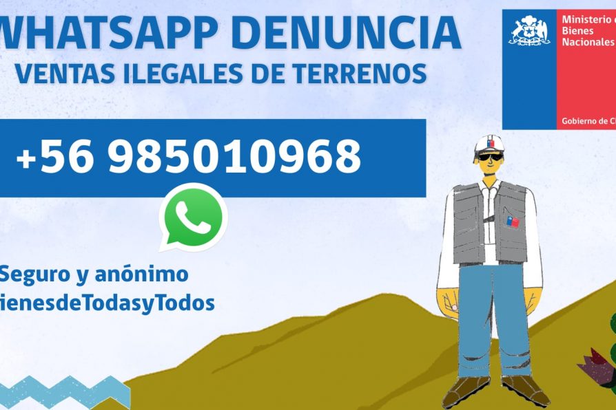 Bienes Nacionales activó “WhatsApp Denuncia” por venta ilegal de terrenos fiscales