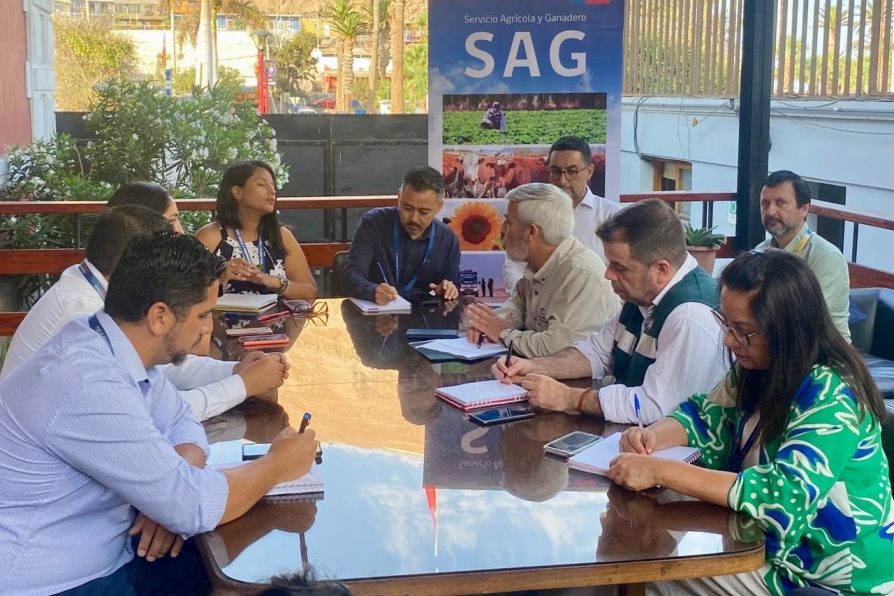 Arica será la primera línea para contener llegada de gripe aviar